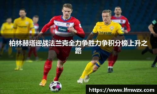 zoty中欧平台