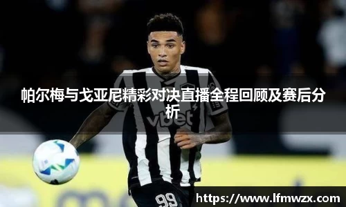 zoty中欧